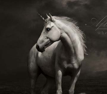 云呼讨债神器软件