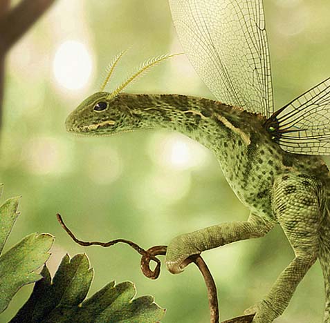 短信压力测试器免费网页版