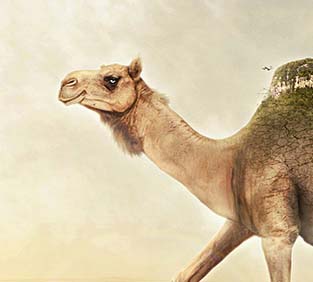 无忧售后的24小时呼叫轰炸神器