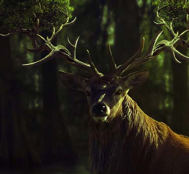 手机号压测网站